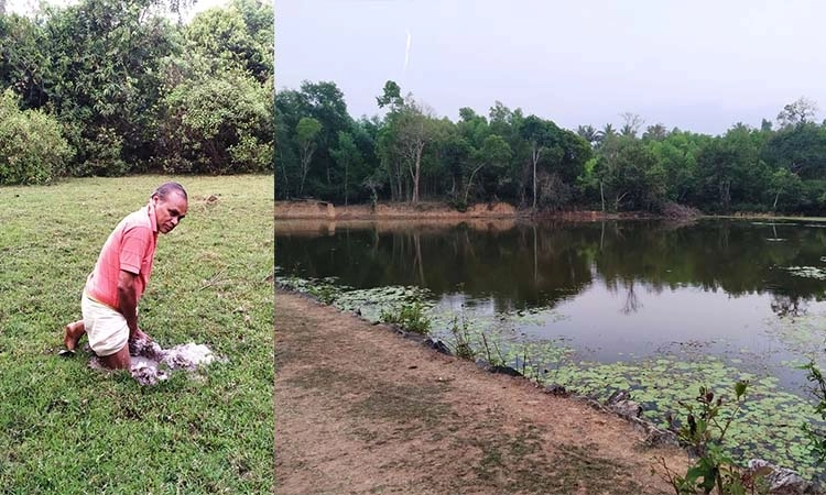 ಶಿವಮೊಗ್ಗ :  ಗೆಣಸಿನಕುಣಿಯಲ್ಲೊಂದು ಸ್ಪಂಜು ನೆಲ