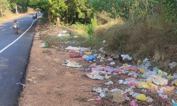 ಬೈಲೂರು: ಮುಖ್ಯ ರಸ್ತೆ ಅಂಚಿನಲ್ಲಿ ತ್ಯಾಜ ರಾಶಿ