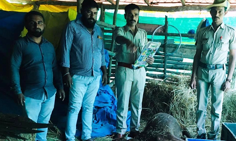 ಅಕ್ರಮ ಕಸಾಯಿಖಾನೆ ಪತ್ತೆ: ಗೋಮಾಂಸ ಸಹಿತ ಒಬ್ಬನ ಸೆರೆ