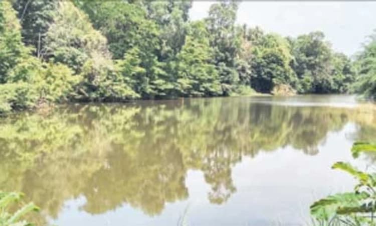 ಸುಳ್ಯದಲ್ಲಿ ಮಳೆ; ನಗರಕ್ಕೆ ನೀರಿನ ಸಮಸ್ಯೆ ಸದ್ಯಕ್ಕೆ ದೂರ