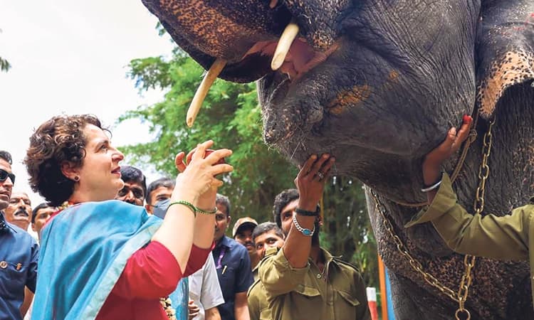 ಅಜ್ಜಿಯಂತೆಯೇ ನಮ್ಮ ಕೈಯನ್ನೂ ಹಿಡಿಯಿರಿ: ಪ್ರಿಯಾಂಕಾ ಭಾವನಾತ್ಮಕ ಹೇಳಿಕೆ