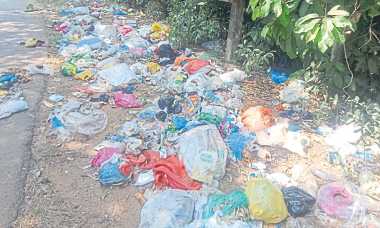 Mangaluru: ಜಾಗ ಗುರುತಿಸಿದ್ದರೂ ತ್ಯಾಜ್ಯ ವಿಲೇವಾರಿಗೆ ಪರದಾಟ