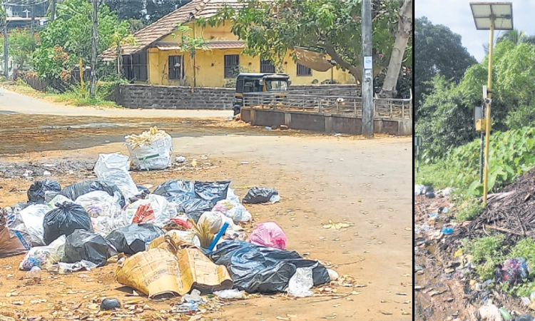 Mangaluru: ಸಿಸಿ ಕೆಮರಾದ ಇಂಟರ್‌ನೆಟ್‌ಗೆ ರೀಚಾರ್ಜ್‌ ಮಾಡದ ಪಾಲಿಕೆ!