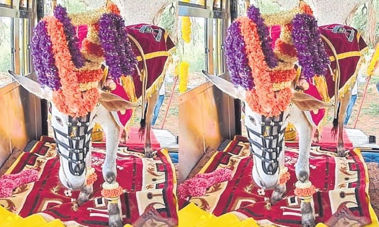 Ayodhya: 30 ಲಕ್ಷ ರೂ. ವೆಚ್ಚದ ಬಸ್‌ನಲ್ಲಿ ಬಸವನ ಅಯೋಧ್ಯೆ ಯಾತ್ರೆ