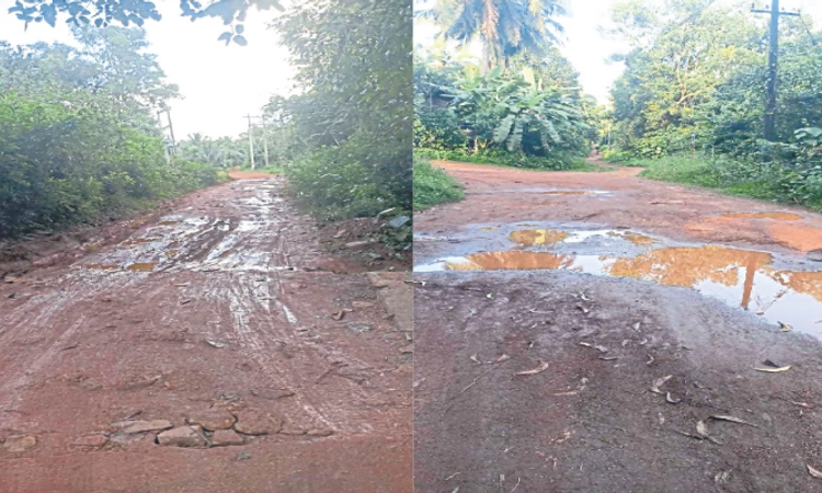 Sullia: ಅಭಿವೃದ್ಧಿ ಕಾಣದ ಪೆರ್ಮಾಜೆ-ಕೋಟೆಗುಡ್ಡೆ-ಪಂಬೆತ್ತಾಡಿ ರಸ್ತೆ