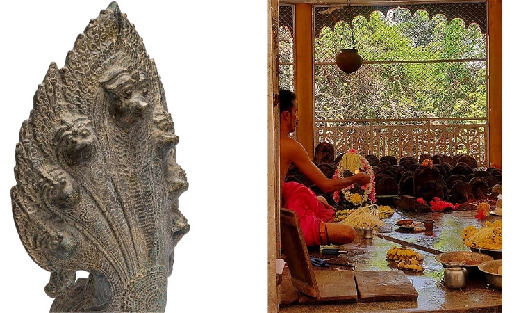 Nagara Panchami: ನಾಗಾರಾಧನೆ ನಮ್ಮ ನಂಬಿಕೆ