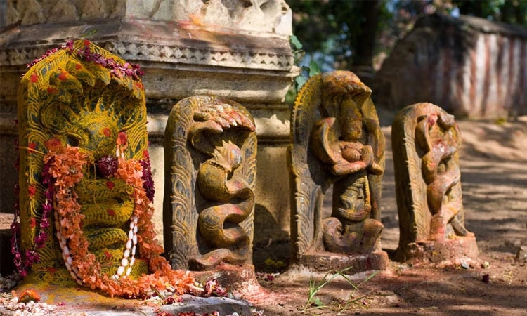 Nagara Panchami: ನಾಗಾರಾಧನೆ ಪ್ರಕೃತಿ ಆರಾಧನೆ