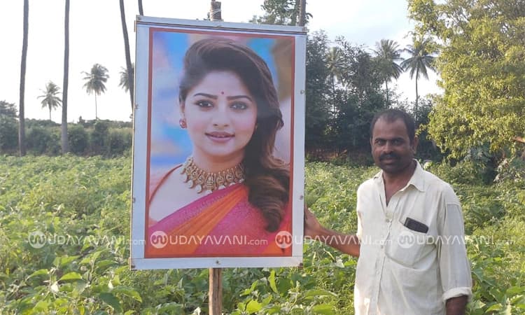 Farmers; ರೈತನ ಬೆಳೆ ಕಾಯುಲು ಸಿನಿ ತಾರೆಯರು; ಉತ್ತಮ ಬೆಳೆಗೆ ರೈತನ ಹೊಸ ಪ್ರಯೋಗ