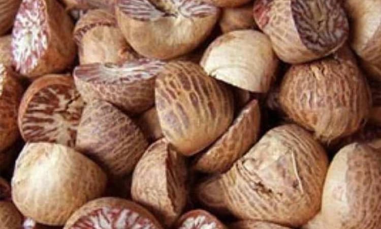 ವಿಟ್ಲ: ಅಡಿಕೆ ಸುಲಿಯುವ ಯಂತ್ರ ಕಂಡು ಹಿಡಿದ ನರಸಿಂಹ ಭಟ್‌ ವಿಧಿವಶ