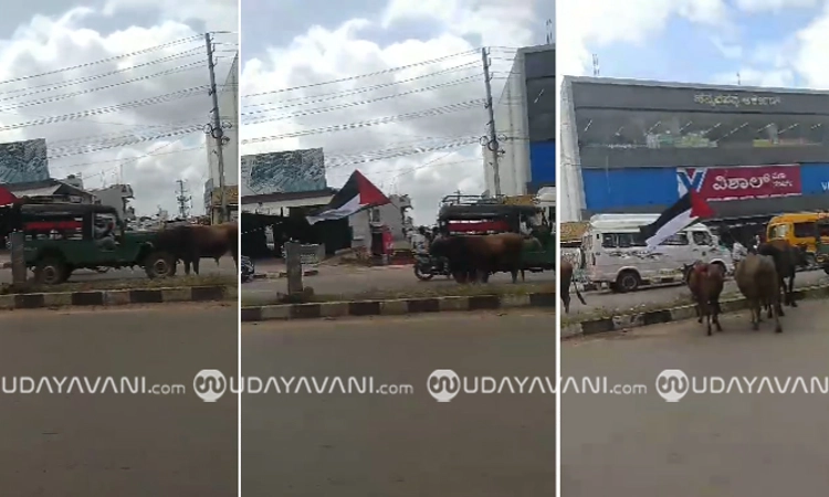 Chikkamagaluru; ಪ್ಯಾಲೆಸ್ತೀನ್ ಧ್ವಜ ಹಿಡಿದು ಬೈಕ್‌ ರೈಡ್:‌ ವಿಡಿಯೋ ವೈರಲ್