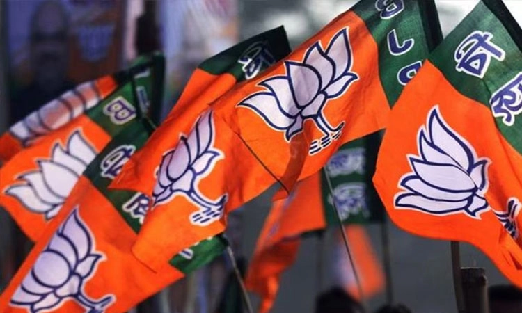 BJP: ಬಿಜೆಪಿಗೆ ಮತ್ತೆ ರಾಜ್ಯ ಸಂಘಟನಾ ಕಾರ್ಯದರ್ಶಿ ನೇಮಕ?