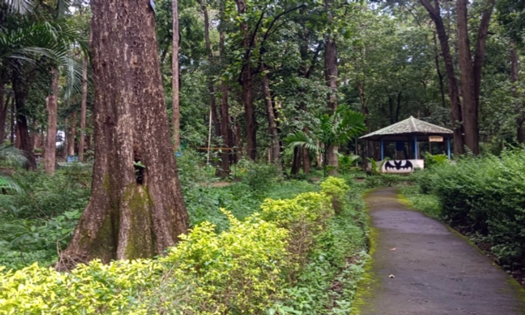 Eco Park: ಪ್ರವಾಸಿಗರಿಲ್ಲದೆ ಬಿಕೋ ಎನ್ನುತ್ತಿರುವ ದಾಂಡೇಲಿಯ ದಂಡಕಾರಣ್ಯ ಇಕೋ ಪಾರ್ಕ್