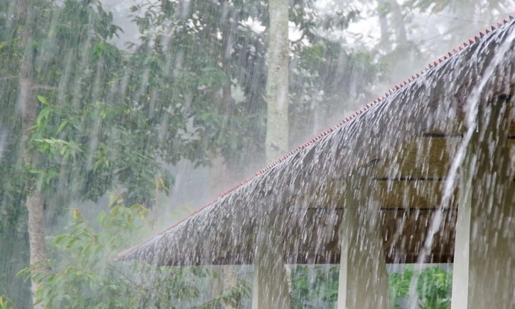 Rain Alert: ಬೆಂಗಳೂರು, ಕರಾವಳಿ ಜಿಲ್ಲೆಗಳಲ್ಲಿ ಇನ್ನೆರಡು ದಿನ ಮಳೆ ಸಾಧ್ಯತೆ