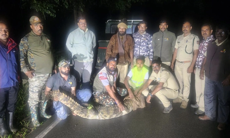 Crocodile: ದಾಂಡೇಲಿಯ ಗ್ಯಾರೇಜಿನಲ್ಲಿತ್ತು ಹತ್ತು ಅಡಿ ಉದ್ದದ ಮೊಸಳೆ…
