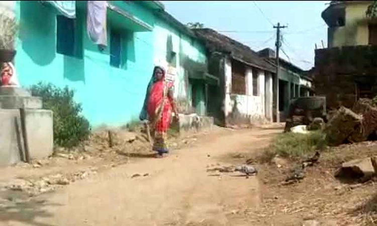 Non Veg:ಈ ಗ್ರಾಮದಲ್ಲಿರುವ ಮನುಷ್ಯರಷ್ಟೇ ಅಲ್ಲ ಸಾಕು ಪ್ರಾಣಿಗಳೂ ಮಾಂಸಾಹಾರ ಮುಟ್ಟಲ್ವಂತೆ