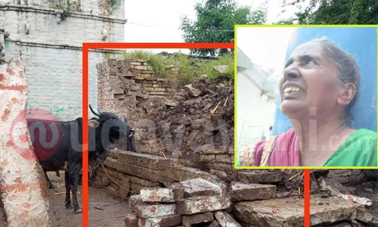 Yadgir: ಮಳೆಗೆ ಗೋಡೆ ಕುಸಿದು ವೃದ್ಧೆ ಸಾವು
