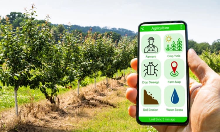 Crop Survey of Monsoon: ರೈತರಿಗೆ ಸವಾಲಾದ ಮುಂಗಾರು ಬೆಳೆ ಸಮೀಕ್ಷೆ