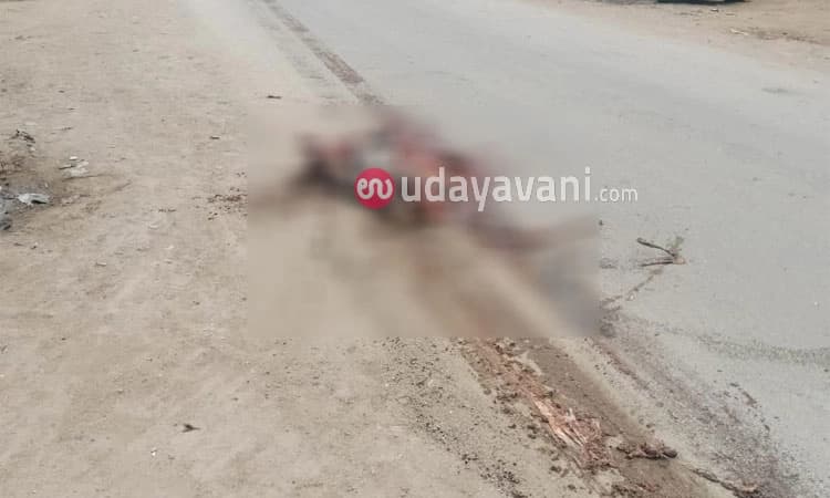 Gadaga: ಬೆಳ್ಳಂಬೆಳಿಗ್ಗೆ ಅಪಘಾತ-ಅಪರಿಚಿತ ವಾಹನ ಡಿಕ್ಕಿಯಾಗಿ ಪಾದಚಾರಿ ಸ್ಥಳದಲ್ಲೇ ಸಾವು