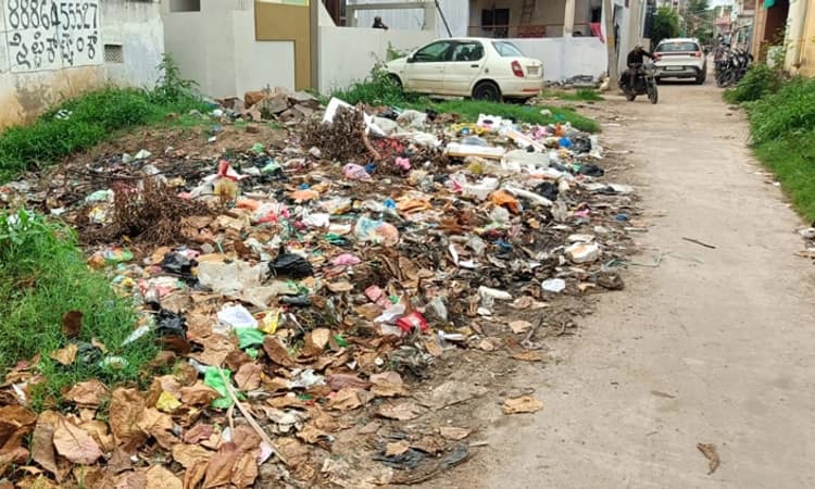 Siruguppa: ನಗರದಲ್ಲಿ ಸ್ವಚ್ಛತೆ ಮಾಯ, ಹೆಚ್ಚಿದ ಅನಾರೋಗ್ಯ ಸಮಸ್ಯೆ, ಡೆಂಗಿ ಪ್ರಕರಣ ಪತ್ತೆ