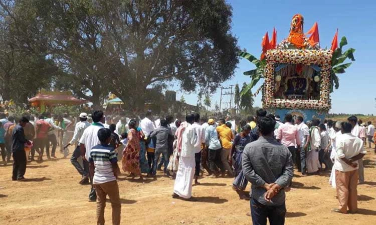 ಸೋಮೇಶ್ವರಸ್ವಾಮಿ ಬ್ರಹ್ಮರಥೋತ್ಸವ