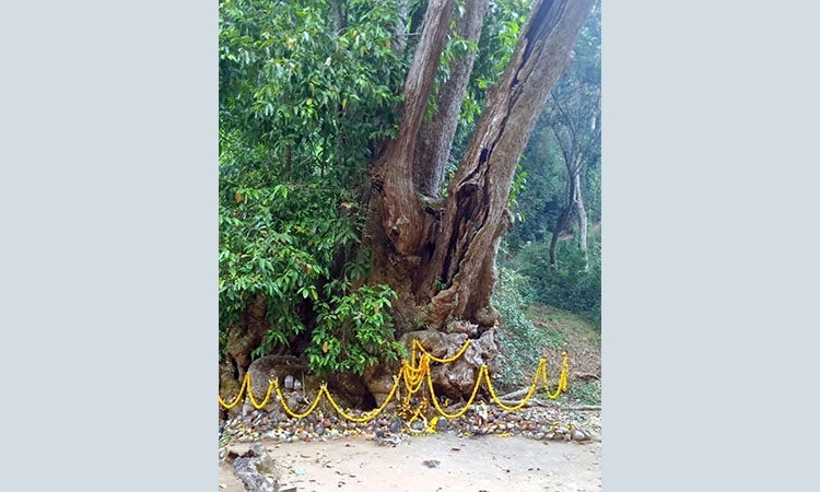ಕಾನನದ ಪ್ರಾಕೃತಿಕ ರುದ್ರನಿಗೆ ಕಾಡಿನ ಮಕ್ಕಳ ವಿಶಿಷ್ಟ ಪೂಜೆ