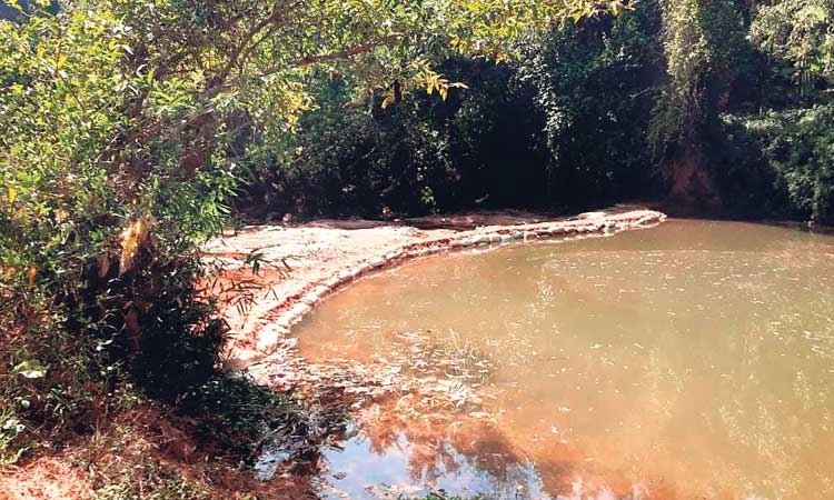 ಪೋಯಿಲೋಡಿ ಕಿಂಡಿ ಅಣೆಕಟ್ಟು ನಿರ್ಮಿಸಿ