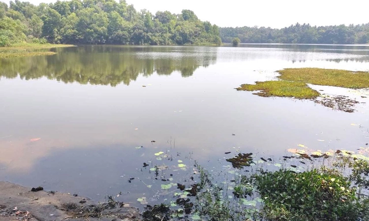 ರಾಮಸಮುದ್ರ ಕೆರೆ ಮಲಿನ ತಡೆಗೆ ಬೇಕು ಕಣ್ಗಾವಲು!