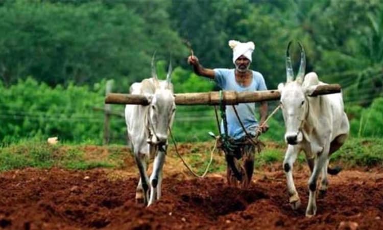 ಉತ್ತಮ ಯೋಜನೆ; ಅನುದಾನ ಕಡಿಮೆ