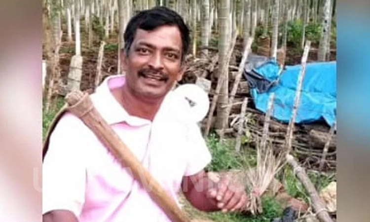 ಜೋಡೆತ್ತಿನಗಾಡಿ ಸ್ಪರ್ಧೆ ವೇಳೆ ಎತ್ತಿನಗಾಡಿ ಢಿಕ್ಕಿ ಹೊಡೆದು ವ್ಯಕ್ತಿ ಸಾವು!