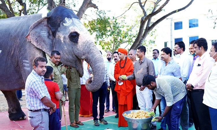 ಸಕ್ರೆಬೈಲು ಬಿಡಾರಕ್ಕೆ ಬಂತು ಮುರುಘಾಮಠದ ಕನೇನಿ