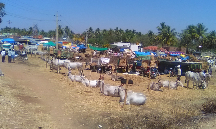 ಇಂದಿನಿಂದ ರತ್ನಪುರಿಯಲ್ಲಿ ಭಾವೈಕ್ಯತೆ ಜಾತ್ರೆ