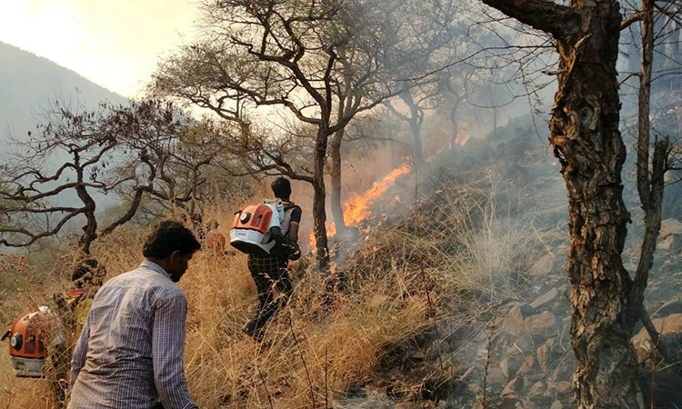 ಬೆಂಕಿ ನಂದಿಸಲು ಜನರ ಸಹಕಾರ ಅವಶ್ಯಕ