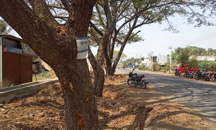 ರಸ್ತೆ ಅಗಲೀಕರಣಕ್ಕೆ ಗಿಡಗಳು ಅಡ್ಡಿ
