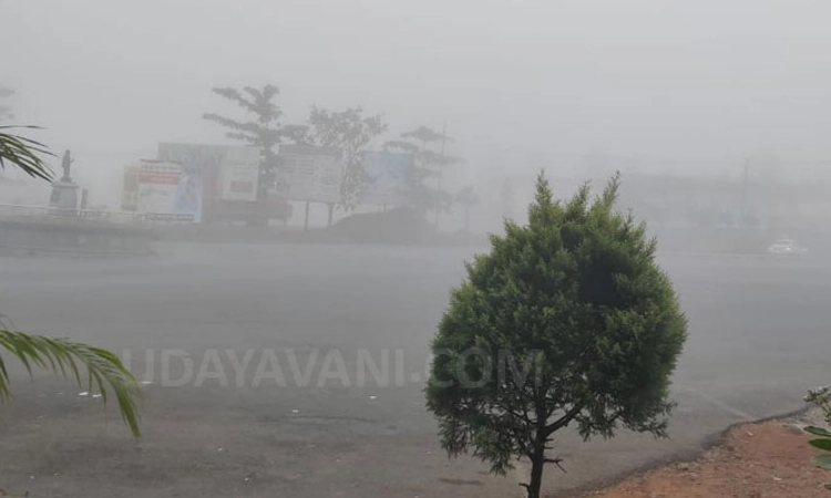ಕರಾವಳಿಯಲ್ಲಿ ಮುಂಜಾನೆ ಆವರಿಸಿದ ದಟ್ಟ ಮಂಜು! ಸೂರ್ಯನ ಕಿರಣಕ್ಕೆ ಮಂಜಿನ ತಡೆ