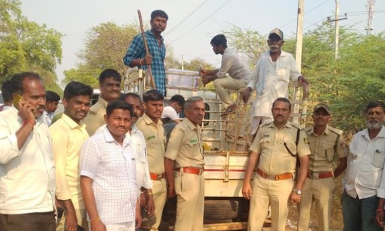 ಮಕ್ಕಳು ಸೇರಿ 10 ಮಂದಿ ಕಚ್ಚಿದ್ದ ಮಂಗ ಸೆರೆ  