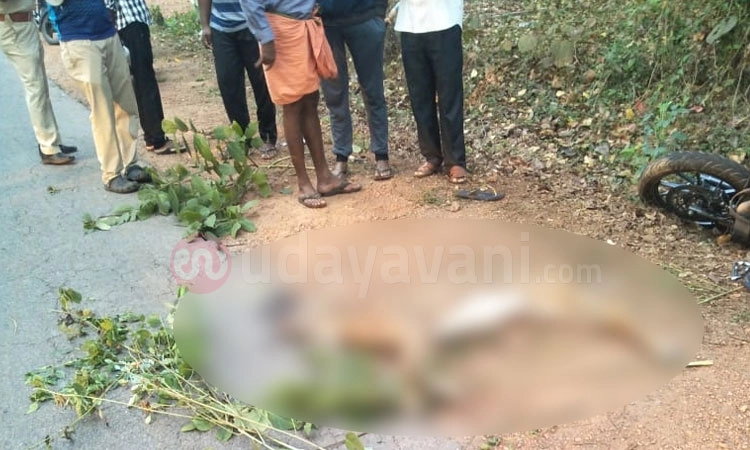 ಹೆಬ್ರಿ: ಜಿಂಕೆಗೆ ಬೈಕ್ ಡಿಕ್ಕಿ;  ಜಿಂಕೆ ಸ್ಥಳದಲ್ಲೇ ಸಾವು