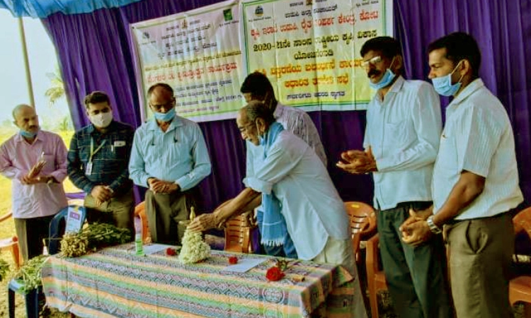 “ಶೇಂಗಾ ಬೆಳೆಯಲ್ಲಿ ಉಡುಪಿ ಜಿಲ್ಲೆ ದೇಶಕ್ಕೆ ಮಾದರಿ’