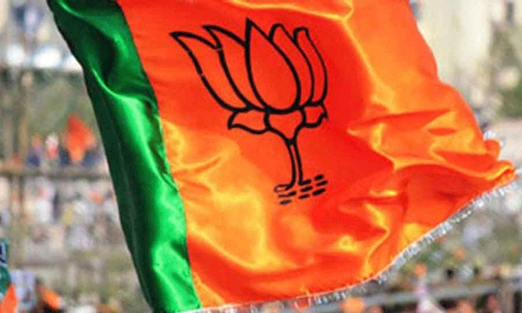 ರಾಜ್ಯ ನಾಯಕರಿಗೆ ತಮಿಳುನಾಡು ಹೊಣೆ : AIADMK ಮೈತ್ರಿ ಕೂಟ ಅಧಿಕಾರಕ್ಕೆ ತರಲು ಬಿಜೆಪಿ ಶ್ರಮ