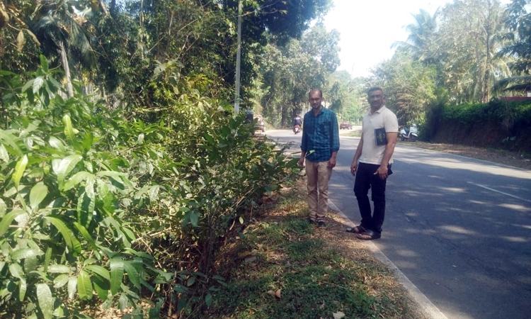 ಗುರುವಾಯನಕೆರೆ-ಉಪ್ಪಿನಂಗಡಿ ರಸ್ತೆ : ಅಧಿಕಾರಿಗಳಿಂದ ಪರಿಶೀಲನೆ