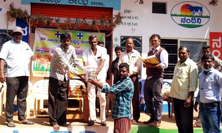 ಮಿಶ್ರತಳಿ ಕರುಗಳ ಪ್ರದರ್ಶನ, ರಾಸುಗಳ ಶಿಬಿರ