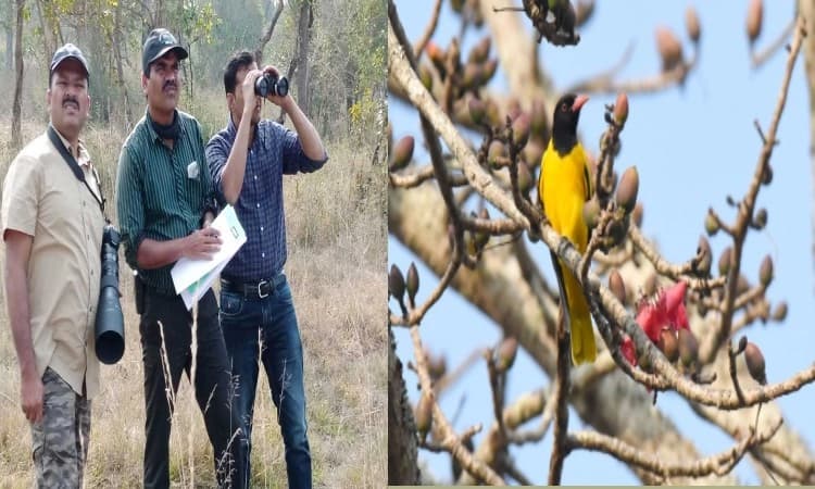 ಪಕ್ಷಿ ಗಣತಿಯಲ್ಲಿ ಹೊಸ ಪ್ರಭೇದದ ಹಕ್ಕಿಗಳು ಪತ್ತೆ