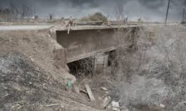 ಕುಂಡಡ್ಕ ಸೇತುವೆಗೆ ಬೇಕಿದೆ ಕಾಯಕಲ್ಪ