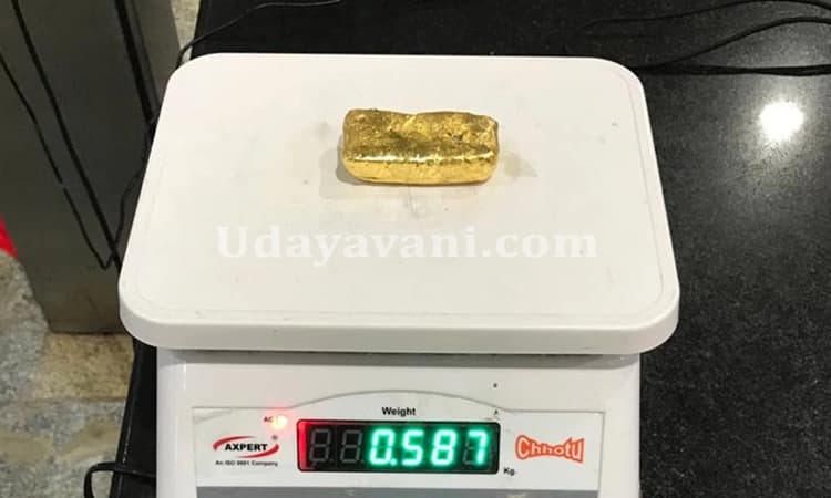 ಮಂಗಳೂರು ವಿಮಾನ ನಿಲ್ದಾಣ29.41 ಲ.ರೂ. ಮೌಲ್ಯದಚಿನ್ನ ಅಕ್ರಮ ಸಾಗಾಟ ಪತ್ತೆ