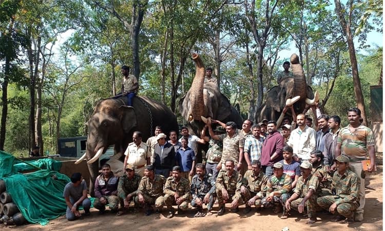 ಯಶಸ್ವಿ ಕಾರ್ಯಾಚರಣೆ ನಂತರ ಸಾಕಾನೆಗಳಿಗೆ ಬೀಳ್ಕೊಡುಗೆ