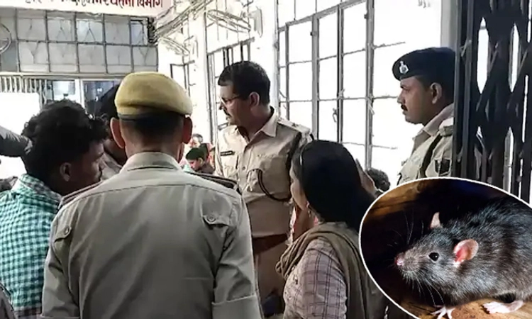 Patna: ಆಸ್ಪತ್ರೆಯಲ್ಲಿ ಮೃತಪಟ್ಟ ರೋಗಿಯ ಕಣ್ಣೇ ಮಾಯಾ… ಇಲಿ ತಿಂದಿದೆ ಎಂದ ವೈದ್ಯರು