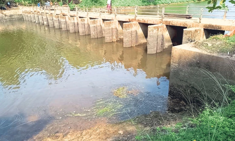 Udupi: ಮಳೆ ನಿಂತರೂ ಕಿಂಡಿ ಅಣೆಕಟ್ಟುಗಳಿಗೆ ಬೀಳದ ಹಲಗೆ