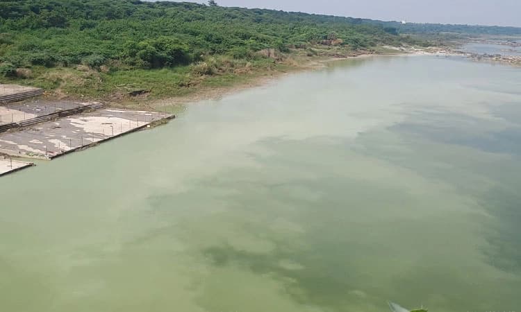 Raichuru: ಆರ್‌ಟಿಪಿಎಸ್ ಬೂದಿ ಹೊಂಡದ ನೀರು ಕೃಷ್ಣಾ ನದಿಗೆ; ಜನರಲ್ಲಿ ಆತಂಕ