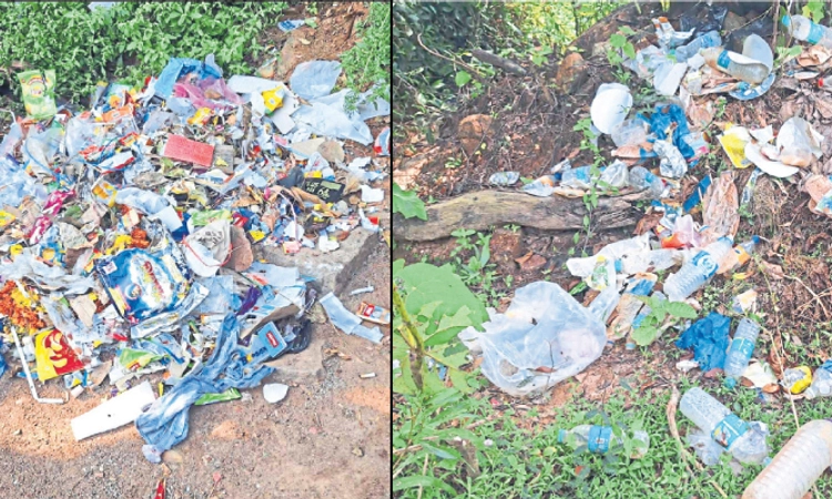 Karkala: ಸೆಲ್ಫಿ ಕಾರ್ನರ್‌ ಮಾಡಿದರೂ ತ್ಯಾಜ್ಯ ಎಸೆತ ನಿಂತಿಲ್ಲ!