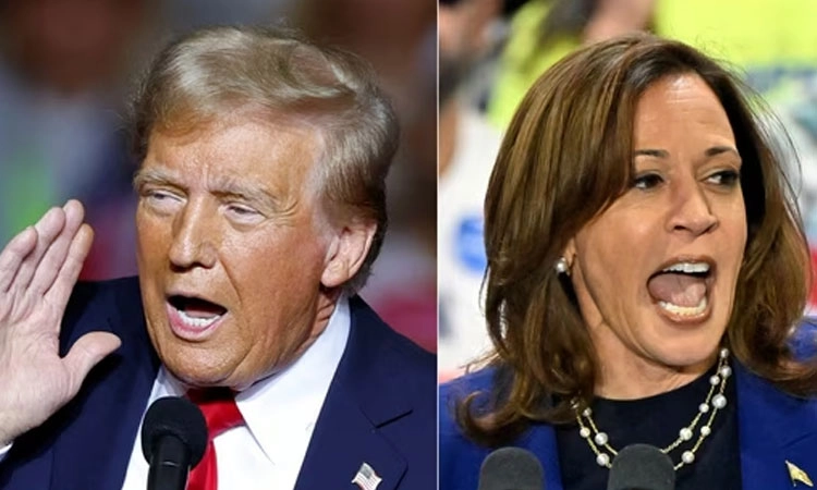 US Election 2024, Kamala Vs Trump: ಅಮೆರಿಕ ಅಧ್ಯಕ್ಷರ ಚುನಾವಣೆ ಹೇಗೆ? ಏನು? ಎತ್ತ?