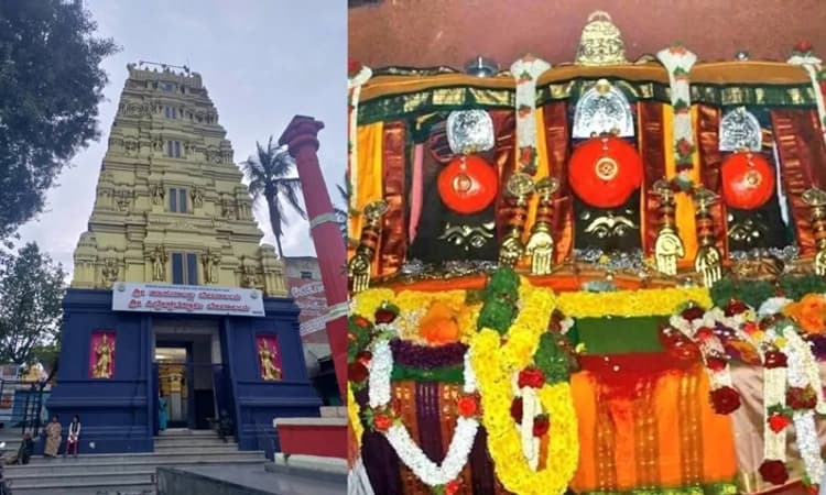 ಹಾಸನಾಂಬೆ ದರ್ಶನಕ್ಕೆ ವಿಧ್ಯುಕ್ತ ತೆರೆ; 9 ದಿನದಲ್ಲಿ 19 ಲಕ್ಷಕ್ಕೂ ಹೆಚ್ಚು ಭಕ್ತರಿಂದ ದರ್ಶನ